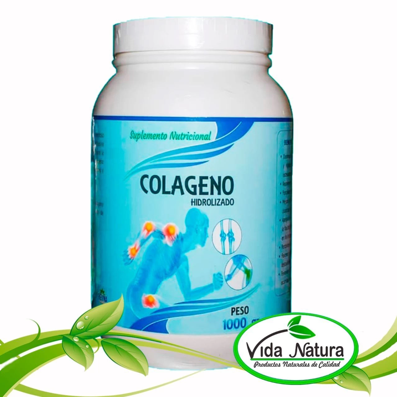 COLAGENO HIDROLIZADO 1 Kg