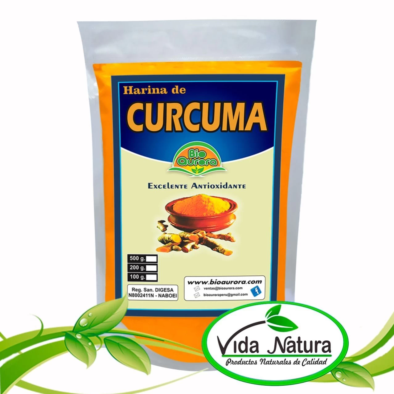 CURCUMA POLVO 100g