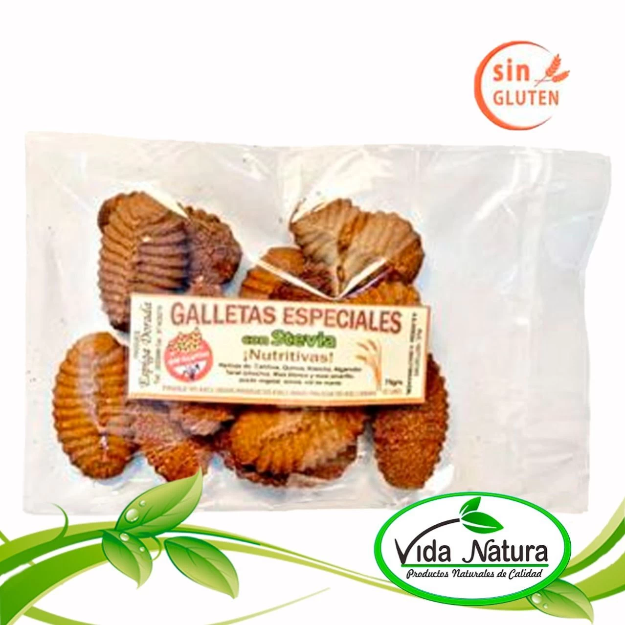 GALLETA ESPECIAL SIN GLUTEN INTEGRAL TARWI ANIS