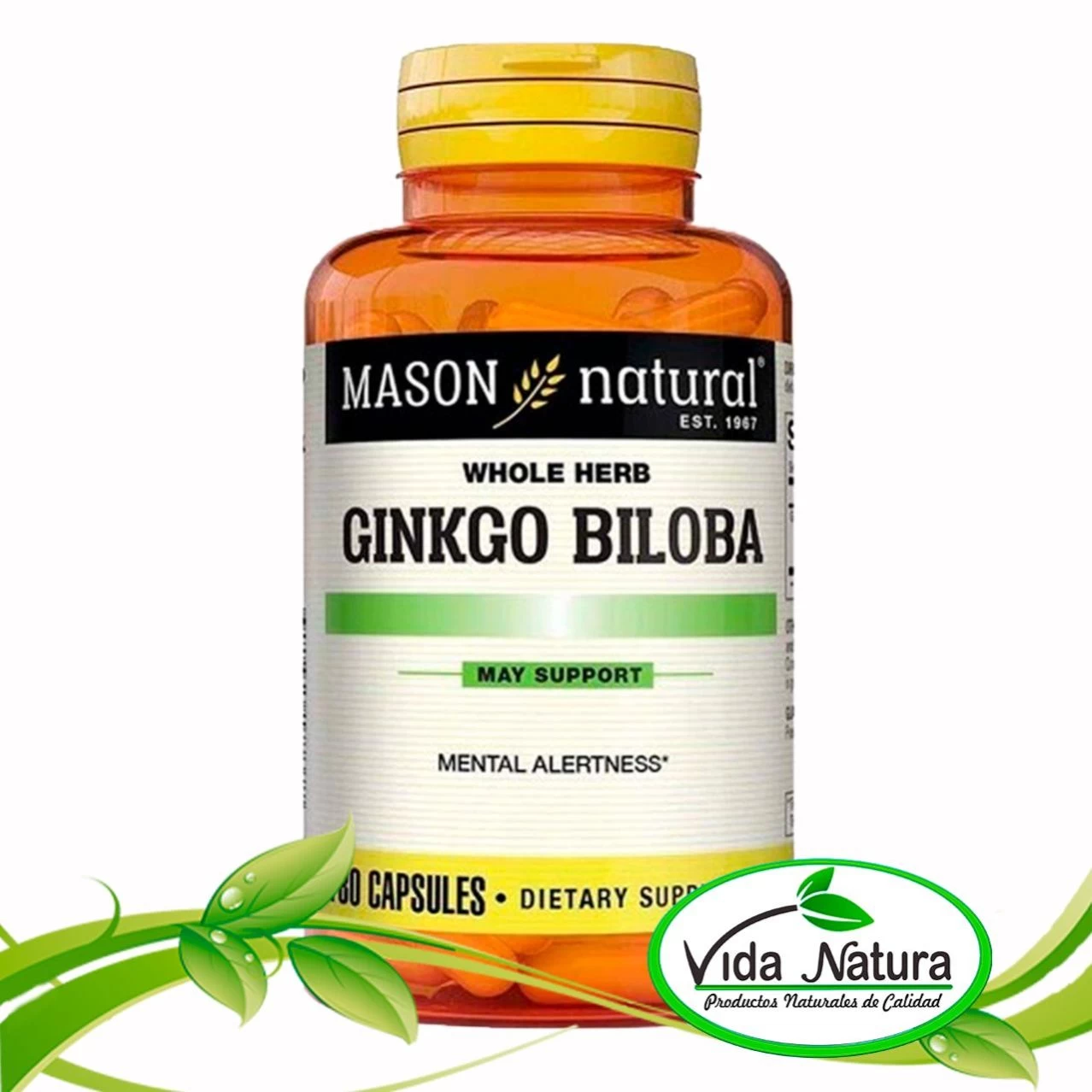 GINKGO BILOBA