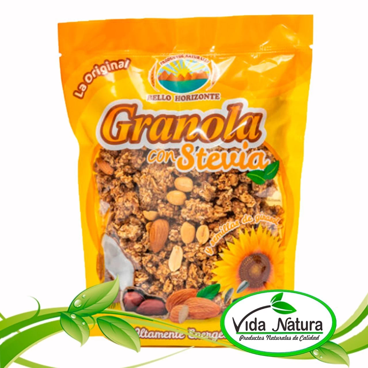 GRANOLA CON STEVIA 350g