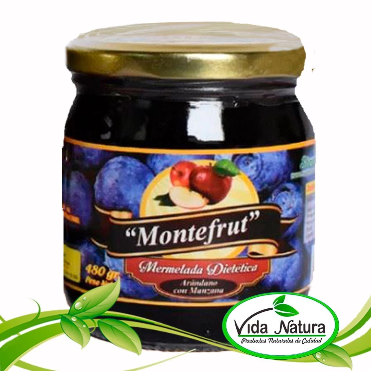 MERMELADA ARANDANO C/STEVIA 480 g