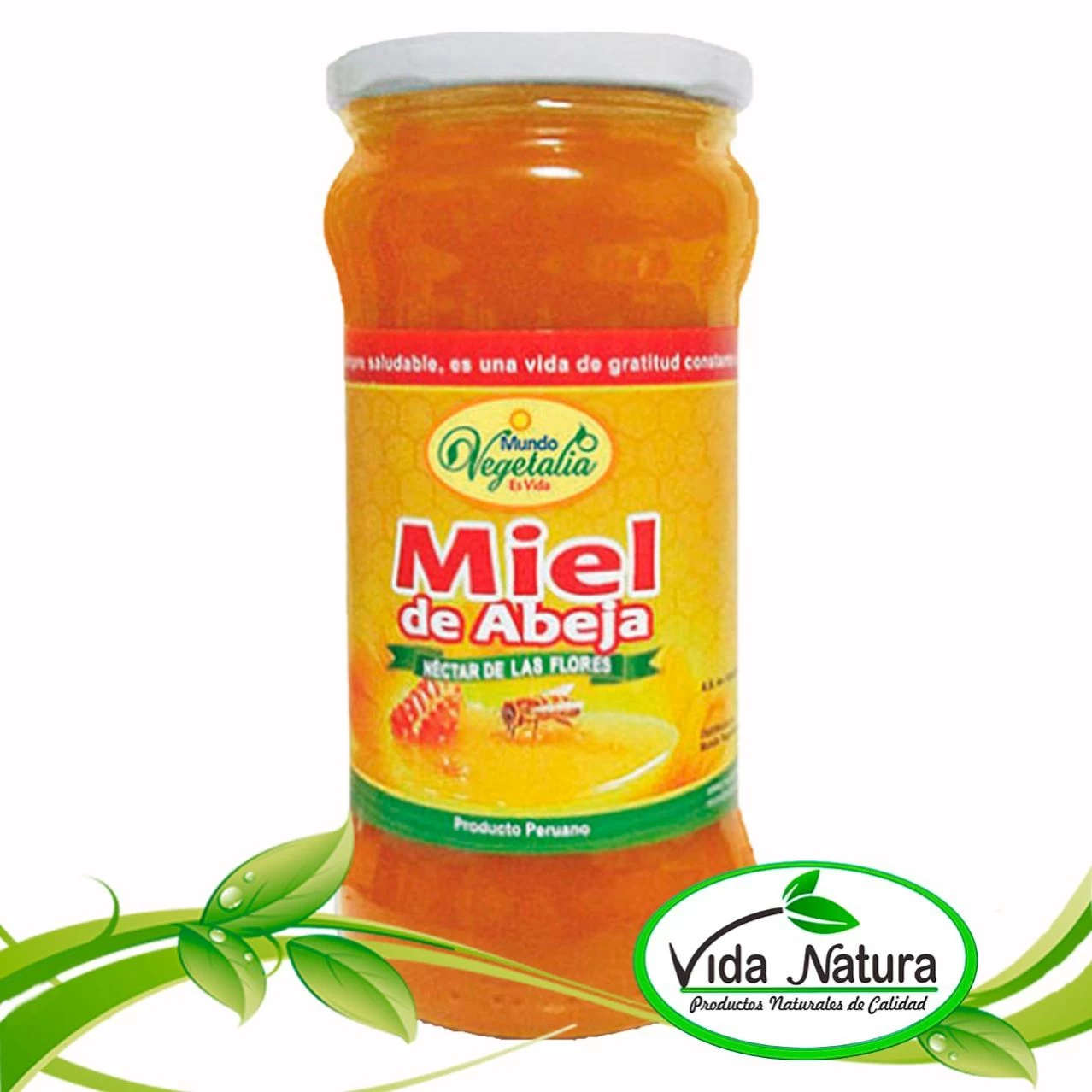 MIEL DE ABEJA 1 KILO