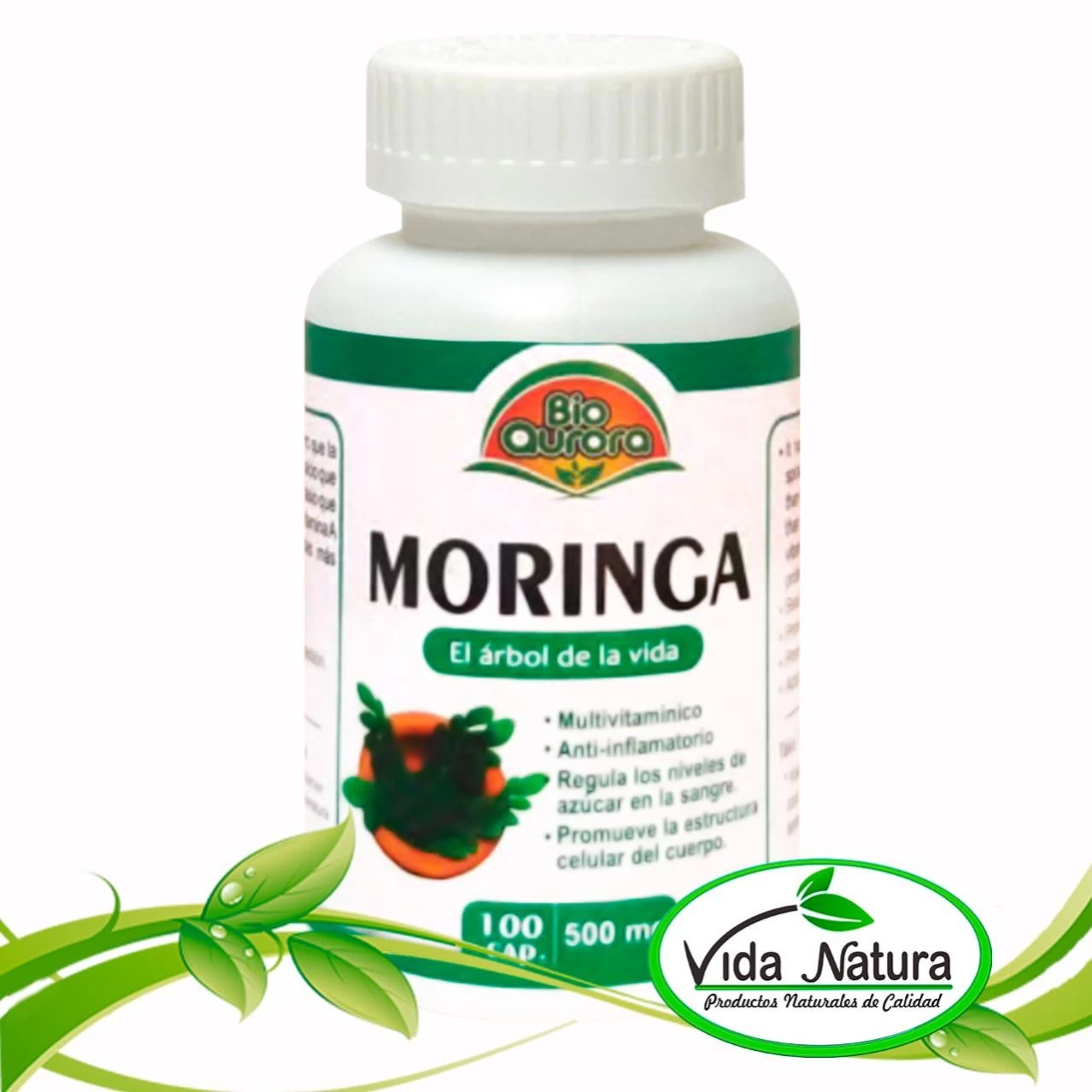 MORINGA CAPSULA