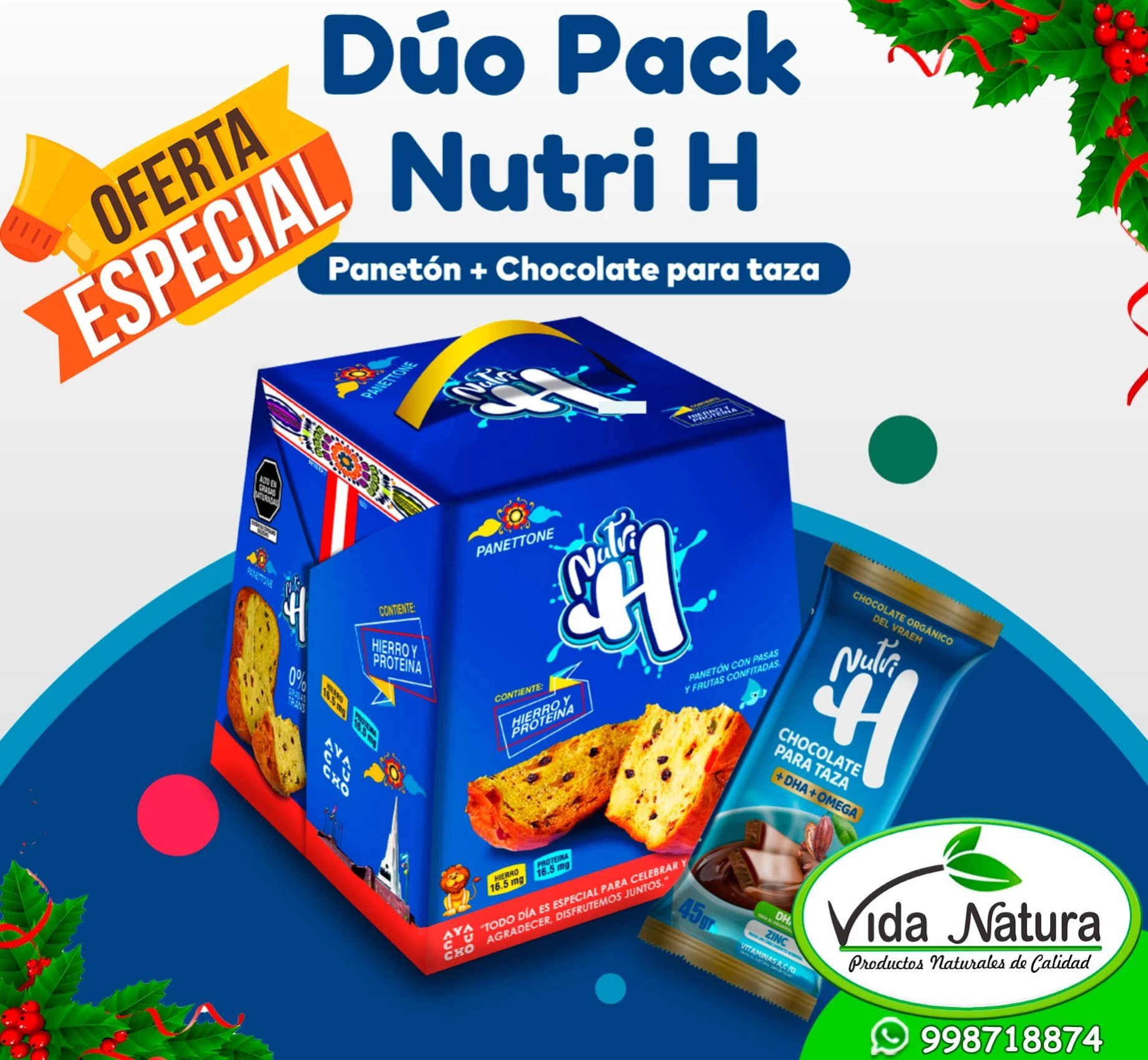 PANETON INTEGRAL CAJA NUTRIH CON HIERRO HEMICO - ANTIANEMICO