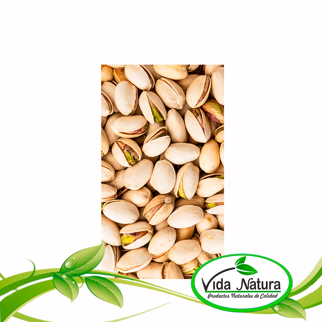 SEMILLA PISTACHO 100 G
