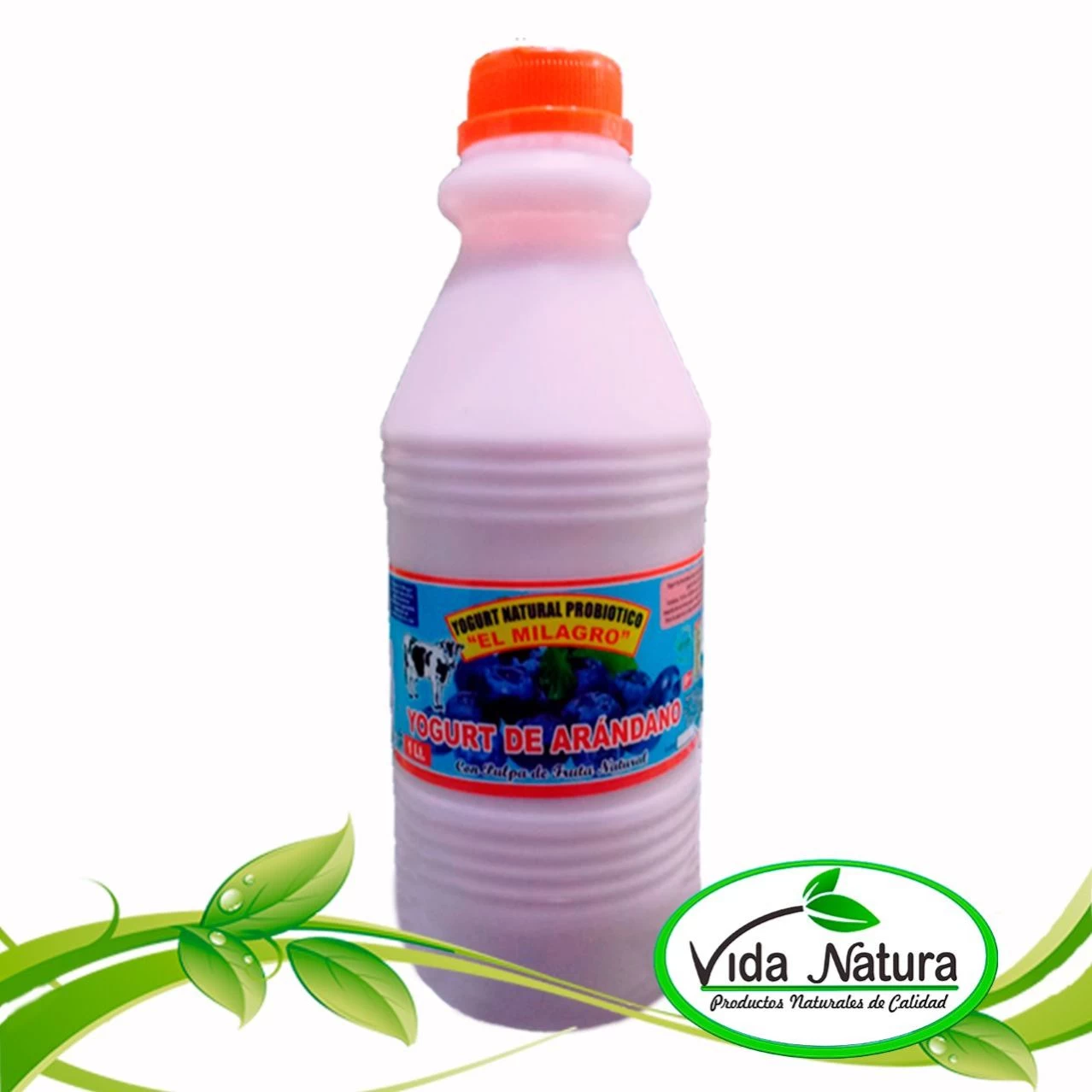 YOGURTH C/ STEVIA ARANDANO