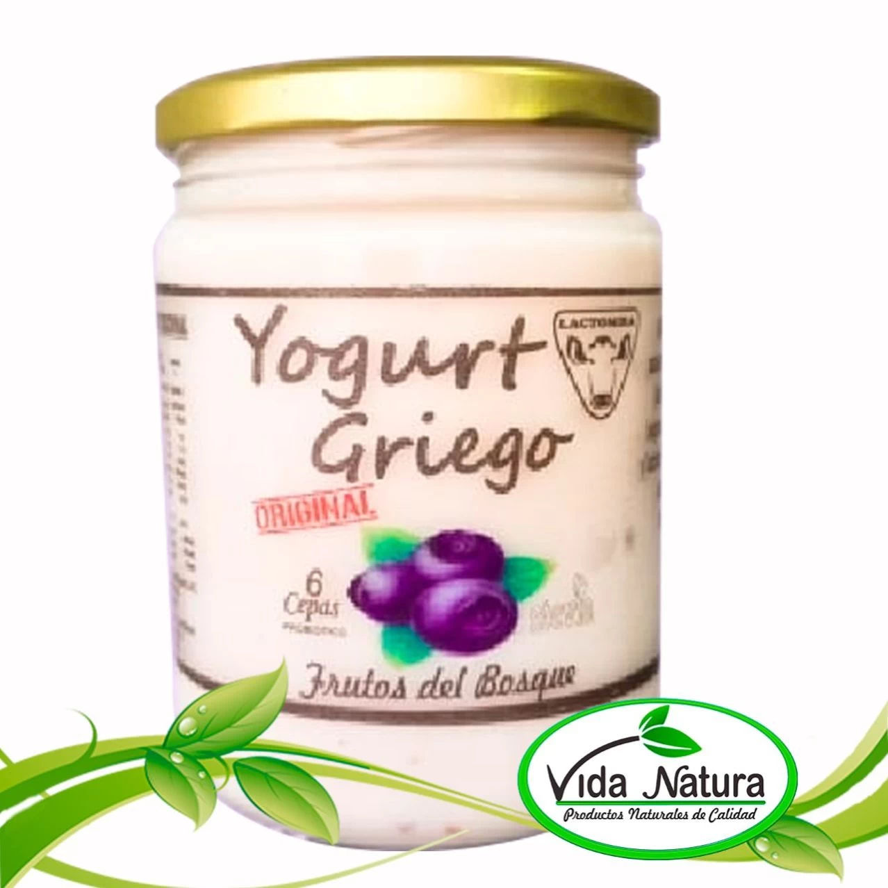 YOGURTH GRIEGO DE ARANDANO 500ml