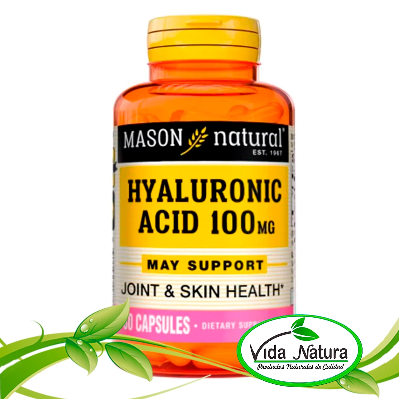 ACIDO HYALURONICO FRASCO 30 CAP / 100MG
